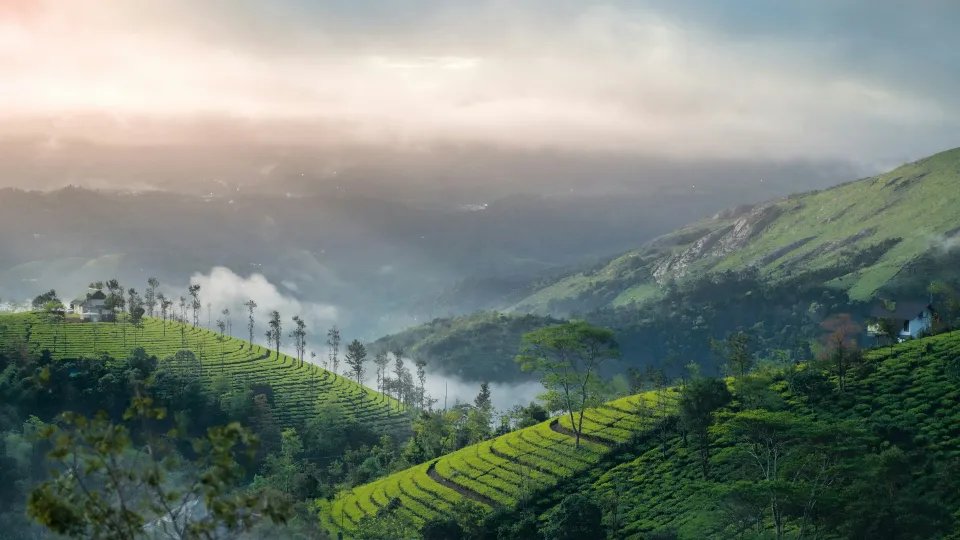 Rolling green hills and meadows of Vagamon