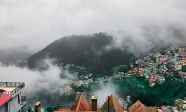 Customized Travel Packages