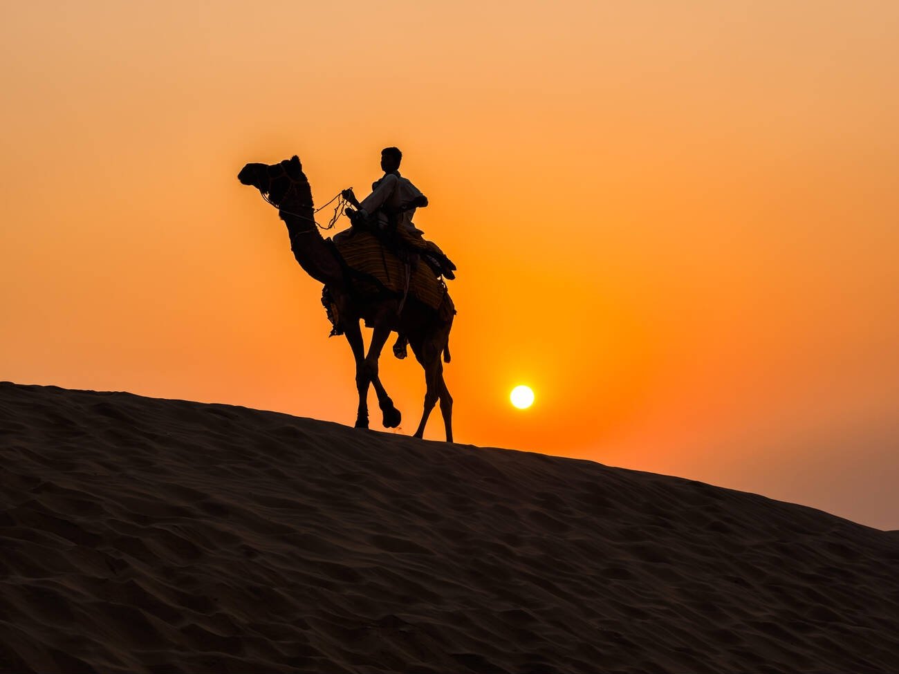 India Tour Packages 25