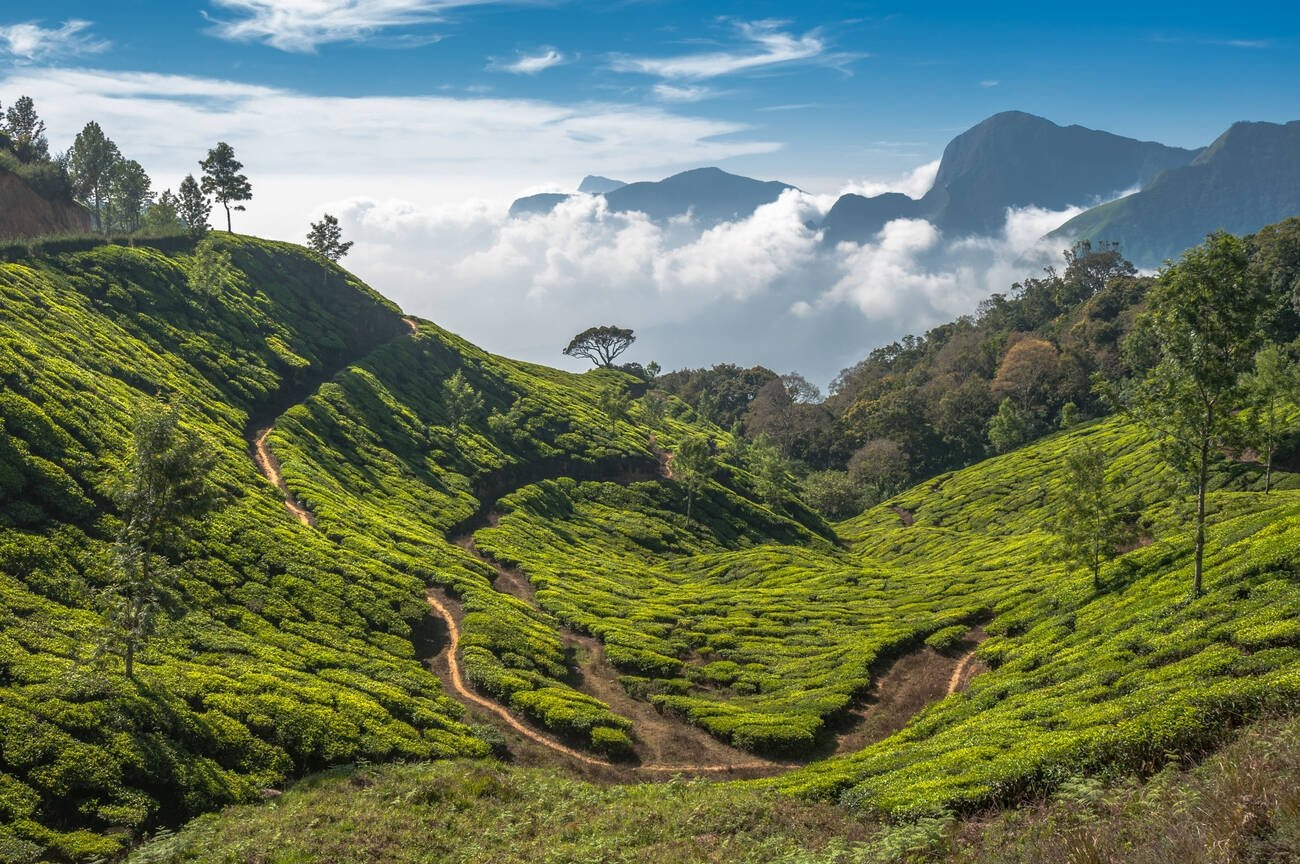 India Tour Packages 3